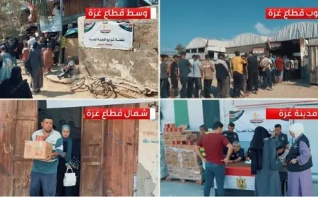 اللجنة المصرية في غزة تبدأ حملة مميزة لتوزيع السلال الغذائية واللحوم للمحتاجين
