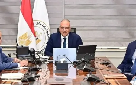 وزير الري يناقش مع الوكالة الألمانية إنجازات برنامج إدارة مياه دلتا النيل