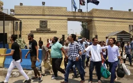 نتيجة الثانوية الأزهرية 2026 ظهورها الرسمي وتفاصيل الاستعلام ورابط الحصول عليها