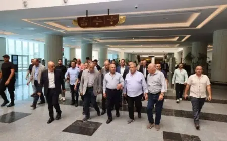 شراكة مصر والصين تعزز الاقتصاد الأخضر وتفتح آفاق جديدة لفرص العمل اللائق للشباب