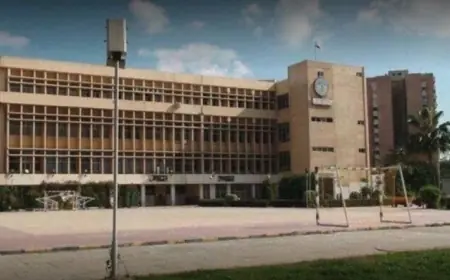 دراسة دكتوراه بجامعة الإسكندرية تكشف القوة التفسيرية لنموذج العرف النسوي في العلوم السياسية