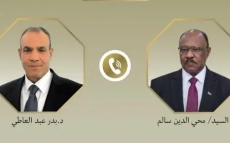 وزير الخارجية المصري يعلن دعم مصر لإعادة إعمار السودان