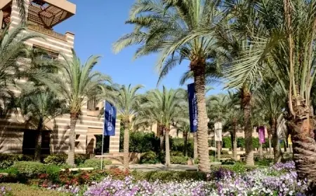 الجامعة الأمريكية تقدم برنامج مساري لدعم الطلاب ذوي الاختلافات النمائية العصبية