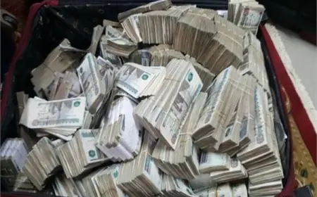 التحول الرقمي يعزز الطابع الدولي في مصر متى تختفي ظاهرة المستريح نهائيا؟
