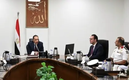 الحكومة تطلق خطة مبتكرة لمواجهة ظاهرة الكلاب الضالة وتأسيس مراكز إيواء في المدن الجديدة