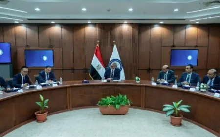 مصر والصين تحفزان النمو من خلال مشروعات استراتيجية في البتروكيماويات وتوطين المنتجات