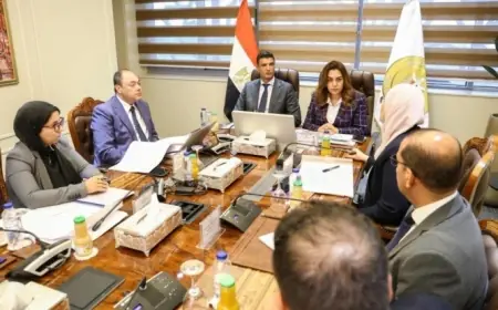 وزيرا التنمية المحلية والصناعة يتعاونان لتعزيز دعم مشروعات تنمية الصعيد