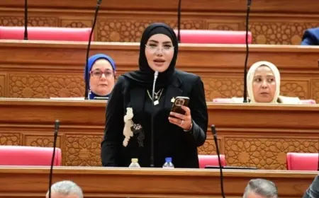 مؤتمر المصريين بالخارج يعكس توجه الحكومة نحو تعزيز الارتباط الوطني للمصريين المقيمين في الخارج