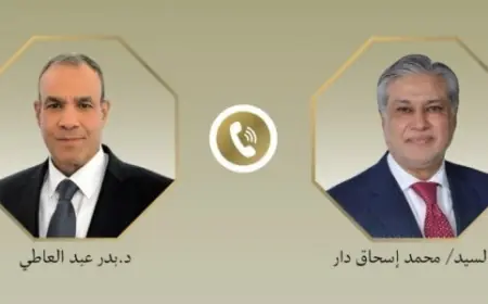 وزير خارجية مصر وباكستان يؤكدان ضرورة إنهاء العمليات العسكرية وتعزيز الأمن في المنطقة