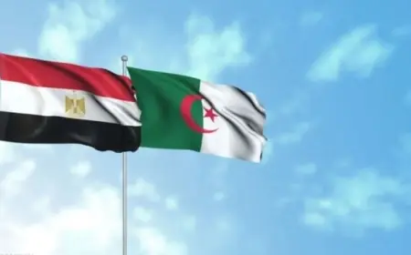 مصر والجزائر تتعاهدان على تعزيز الأمن العربي ومنع التصعيد ودعم الحلول السياسية