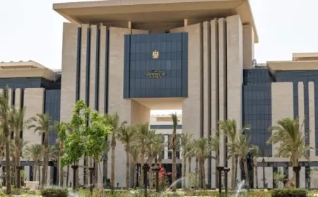 التعليم العالي تطرح فيديو توضيحي لطلاب الثانوية العامة حول كيفية القبول بالجامعات استعدادًا لتنسيق 2026