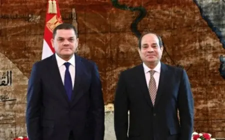 الرئيس السيسي يتناول مع رئيس الحكومة الليبية سبل التنسيق لتحقيق تسوية النزاعات