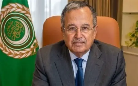 نبيل فهمي يطلب التحقيق في استهداف سفينتين بدمياط وينبه من مخاطر تصاعد الصراع