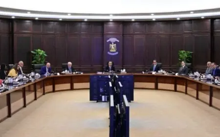 الحكومة تعتمد خطة تطوير شبكة الكهرباء بتمويل من بنك الاستثمار الأوروبي