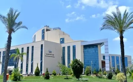 جامعة كفر الشيخ تبرز أبحاث أطباء الامتياز في مجلة Q1 العالمية المرموقة