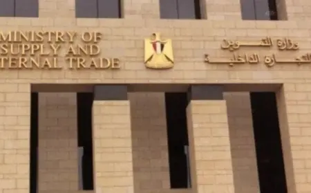 كل ما تحتاج لمعرفته عن منظومة الخصم المباشر للمخابز وتاريخ بدء صرف الدعم النقدي