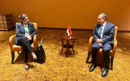 وزير الخارجية المصري يعبر عن الدعم التام لجهود تعزيز الأمن والاستقرار في الصومال