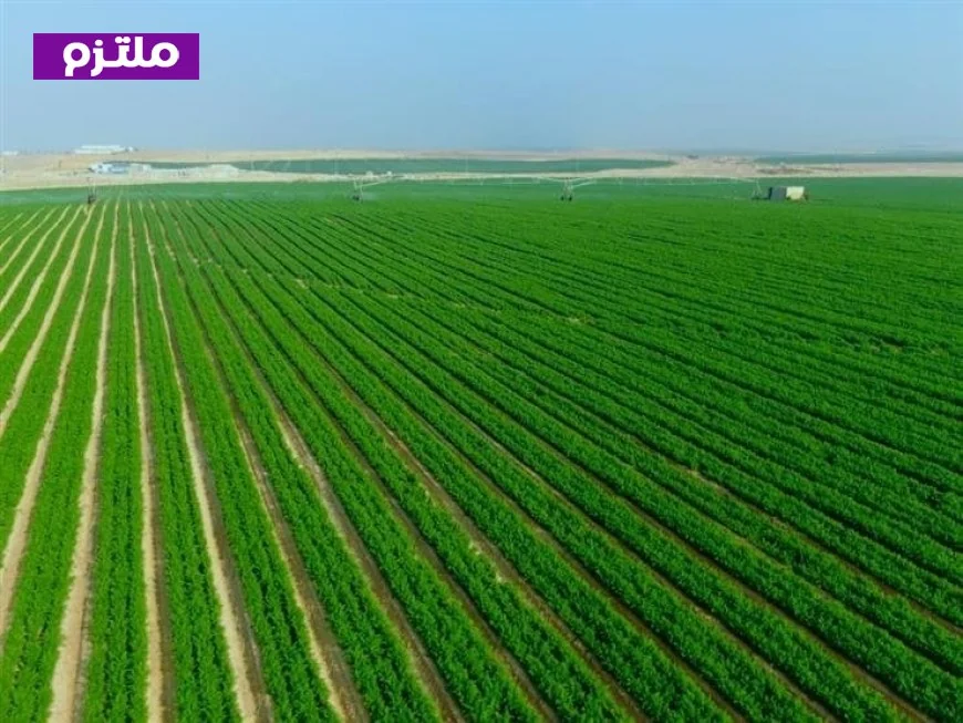 مصطفى بكري يكشف عن بدء البرلمان مناقشة مشروع قانون جهاز مستقبل مصر لدعم جهود التنمية الشاملة