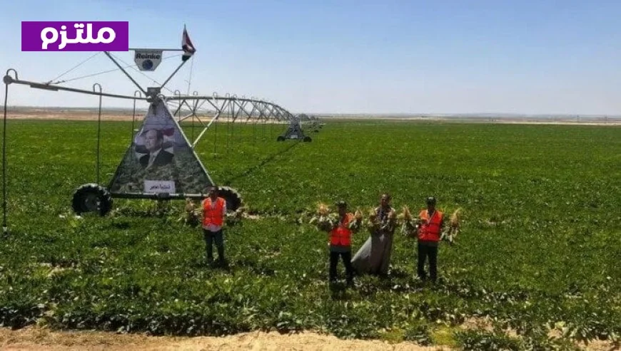 مشروع قانون لتطوير جهاز مستقبل مصر يهدف إلى تعزيز الأمن الغذائي ودعم التنمية المستدامة