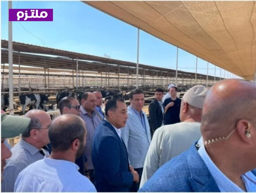 رئيس الوزراء يزور مزرعة للإنتاج الزراعي والحيواني في مدينة العلمين الجديدة لتعزيز الأمن الغذائي