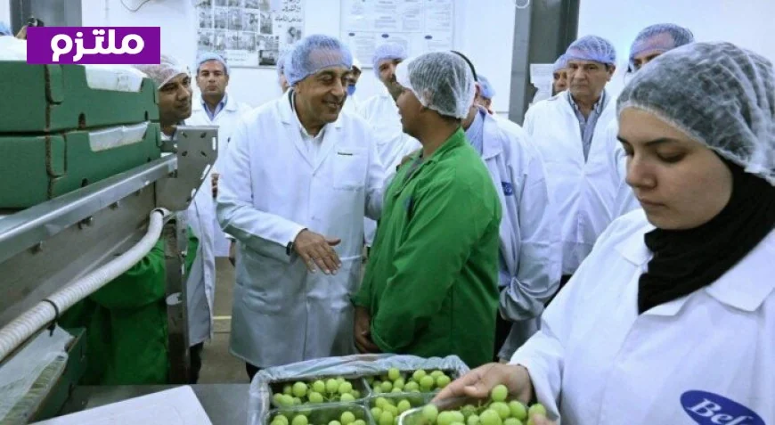 تفقد رئيس الوزراء محطات فرز وتعبئة شركة بلكو للإنتاج الزراعي في مدينة السادات لتعزيز القطاع الزراعي
