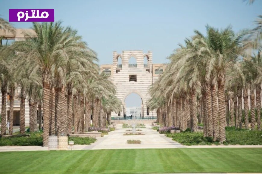 الجامعة الأمريكية بالقاهرة تكشف عن تقرير الاستدامة لعام 2026