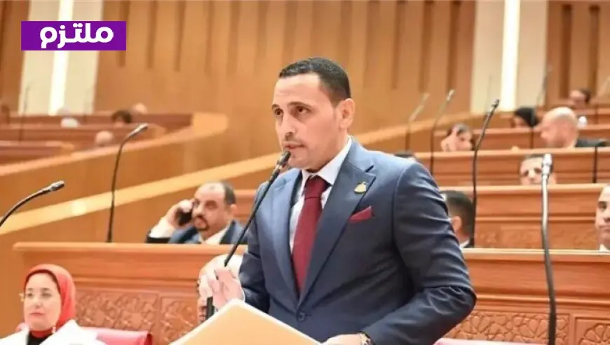 عضو خارجية النواب يؤكد أهمية مؤتمر المصريين بالخارج كوسيلة لتعزيز التواصل مع الطيور المهاجرة