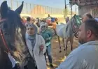وزير الخارجية المصري يعلن استعداد مصر لدعم فنزويلا في التصدي لتبعات الزلزالين