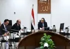 صندوق مصر السيادي يخطط للتوسع الدولي من خلال صناديق استثمار جديدة لتعزيز الاقتصاد الوطني