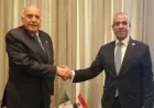 وزير خارجية مصر والجزائر يؤكدان ضرورة الحفاظ على وحدة ليبيا واستقرارها