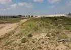كل ما تحتاج معرفته عن تقنين الأراضي في مصر المستندات المطلوبة رسوم الفحص وكيفية السداد
