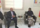 4300 كيلومتر من الروابط على خريطة إفريقيا تفاصيل الممر اللوجستي المصري التشادي الذي يغير المشهد الاقتصادي