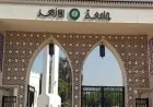تنسيق جامعة الأزهر 2026 معلومات شاملة عن كليات البنات والمزيد
