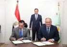 تعاون مثمر بين الريف المصري الجديد والبنك الزراعي لإنتاج هجن الطماطم في المغرة