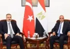 وزير الخارجية يؤكد عزم مصر على دراسة إنشاء منطقة صناعية تركية شاملة الخدمات