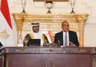 وزير الخارجية يؤكد التزام مصر بتعزيز نشاط الشركات المصرية في إفريقيا