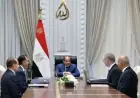 الرئيس السيسي يشدد على ضرورة تعزيز القيمة المضافة للثروات المعدنية لدعم الاقتصاد الوطني
