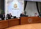 فروع جديدة لجامعات أوروبية وبرامج مبتكرة تأهل الطلاب لسوق العمل العالمي يوافق عليها الوزراء