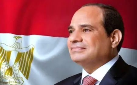 رؤساء أندية هيئة التدريس يثنون على استجابة الرئيس السيسي لمطالب الباحثين في مصر