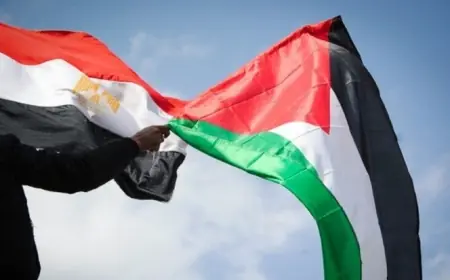 أستاذ علوم سياسية يؤكد دور مصر الحيوي في نجاح المرحلة الثانية لخارطة الطريق في غزة
