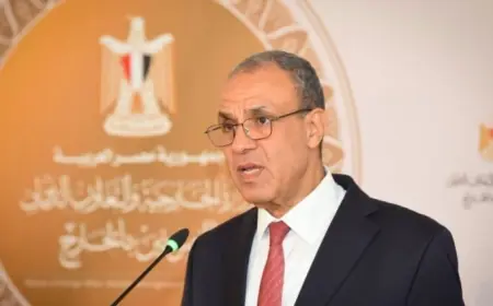 الخارجية تطلق منصة إلكترونية جديدة لتسهيل الخدمات القنصلية للمصريين في الخارج