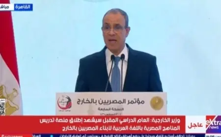 وزير الخارجية يؤكد أنه لا يمكن تحقيق الأمن والاستقرار في المنطقة بدون حل عادل للقضية الفلسطينية