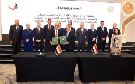 تعرف على 4 بروتوكولات تعاون جديدة لتحسين الخدمات المصرفية والتأمينية والتعليمية للمصريين بالخارج