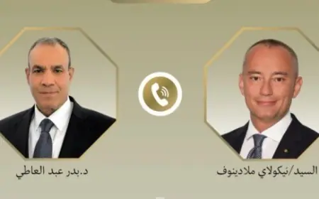 وزير الخارجية يناقش الأوضاع الراهنة في غزة مع الممثل الأعلى عبر الهاتف