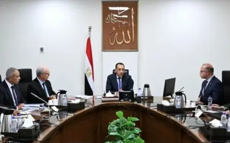 رئيس الوزراء يستعرض مقترحات نقل ملكية الشركات القابضة والشركات التابعة لها