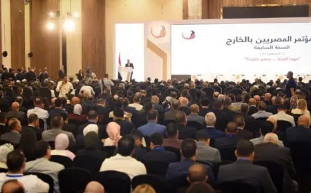 إدراج الصحة النفسية في مؤتمر المصريين بالخارج يعكس رؤية شاملة للدولة وفقًا لممثل الجالية المصرية بالبحرين