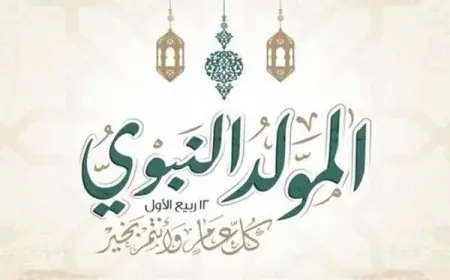 استعدادات مبكرة لموسم المولد النبوي مع وفرة السكر وضبط أسواقه