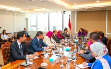 لقاء وزيرة الإسكان مع شركة HDP لتعزيز تسويق مشروعات المدن الجديدة