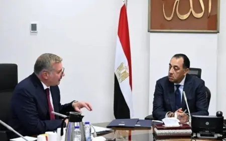 مدبولي يؤكد على أهمية تأمين احتياجات مصر من الطاقة ويعلن انتظام إمدادات الغاز والوقود في أغسطس