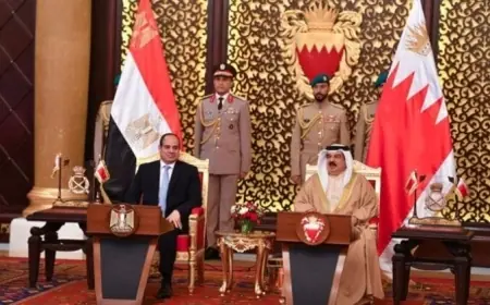 ملك البحرين يثني على دعم مصر لأمن دول الخليج العربي